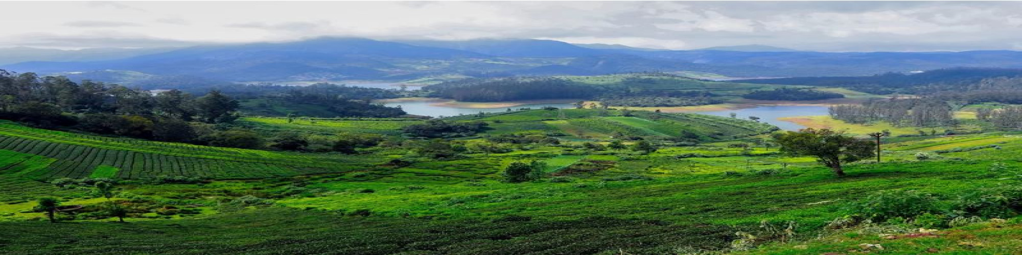मृद्गंध की स्मृति : हरिगढ़ की मिट्टी से नगर के आकाश तक- डॉ० मुकेश कुमार