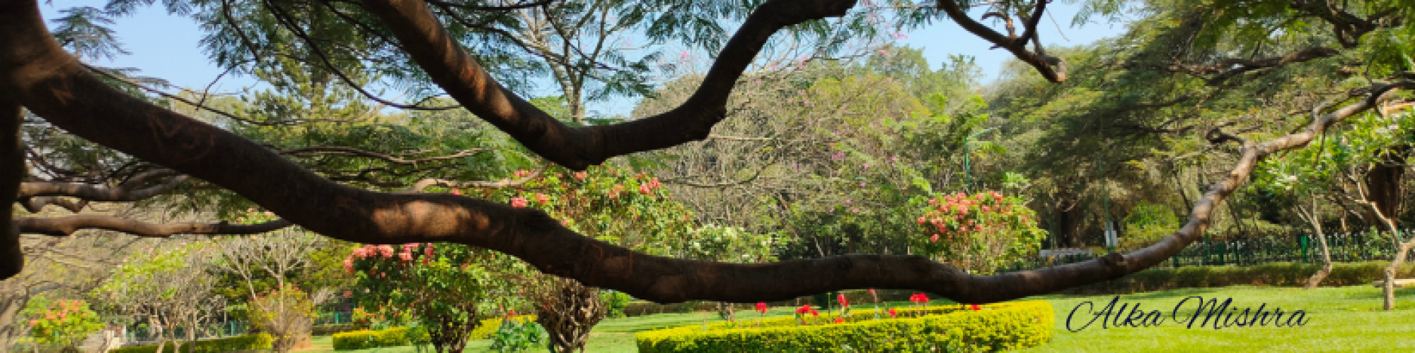 वसंत पञ्चमी की हार्दिक शुभकामनाएँ- अलका मिश्रा