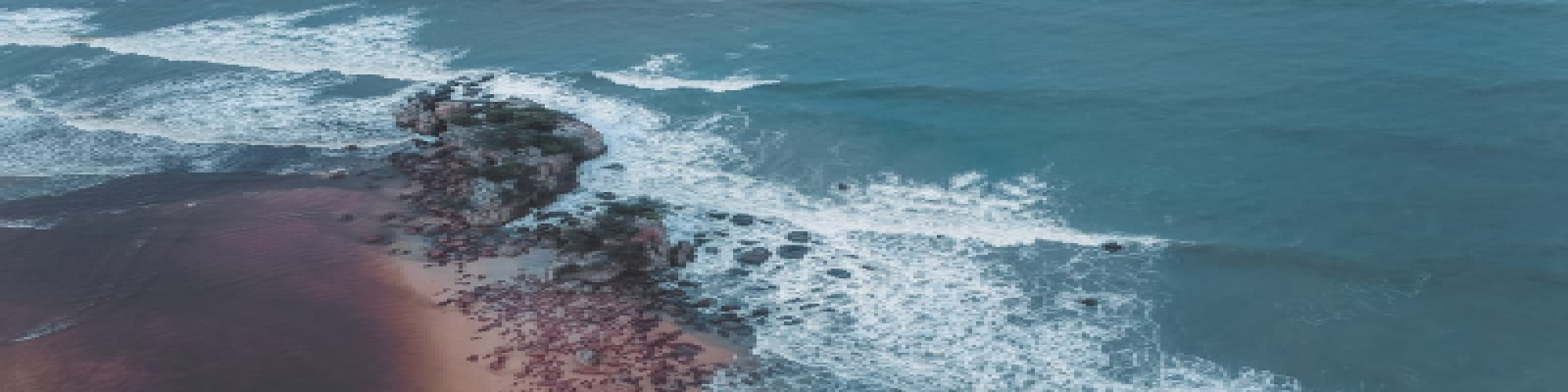 डॉ० ज्योत्सना मिश्रा की कहानी - हिन्दी का मास्टर