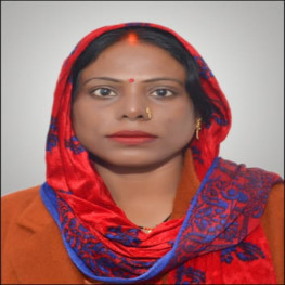 शिखारानी