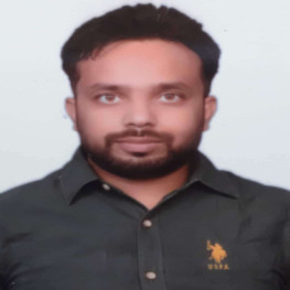 घुमक्कड़ बिहारी